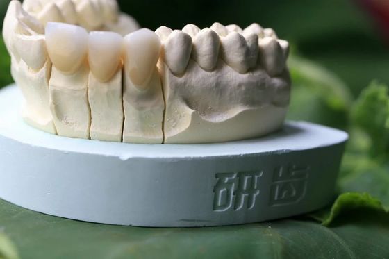 Dientes de la circona cúbica de la porcelana