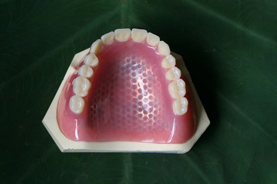 Acrílico superior de la dentadura convencional ISO13485 parcial