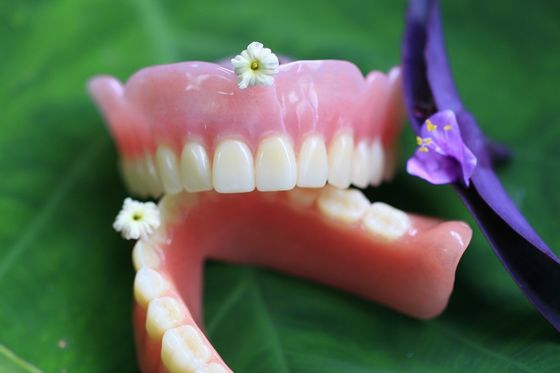 BPS cómodos estables de dentadura parcial de acrílico de la dentadura