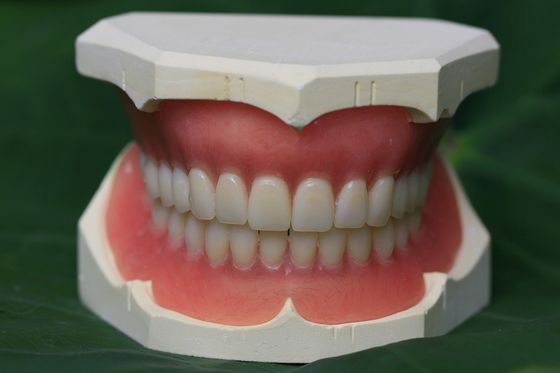 Dentadura parcial de acrílico inmediata de la dentadura ISO13485