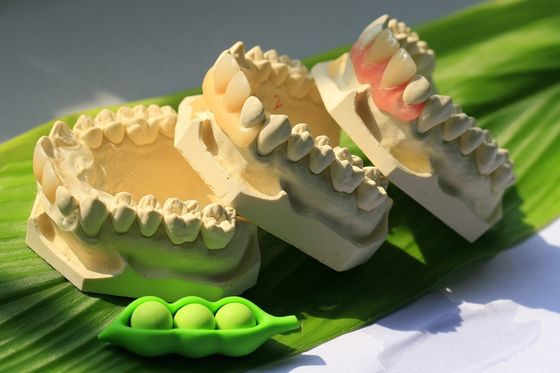 Dentadura invisible flexible