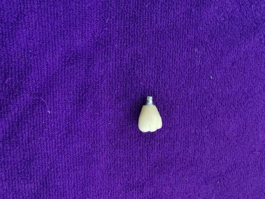 Solo nivel del accesorio de los implantes dentales de Trushine OSSETEM del diente