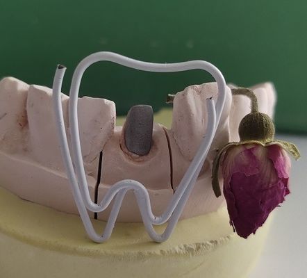 Poste y base dentales del metal después del tratamiento Endodontic