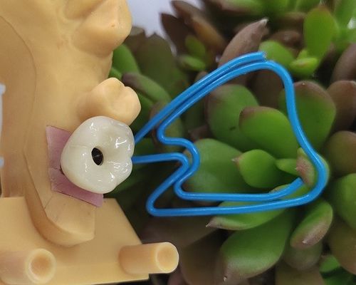 Solo nivel del accesorio de los implantes dentales de Trushine OSSETEM del diente