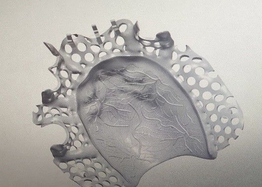 Marco parcial del metal de la dentadura de la aleación del titanio del diseño del cad
