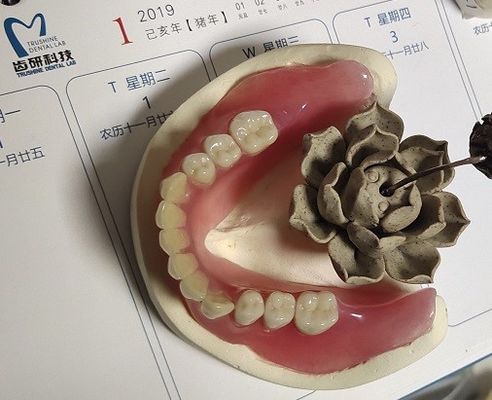 BPS cómodos estables de dentadura parcial de acrílico de la dentadura