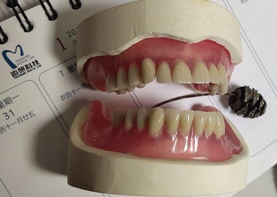 Dentadura parcial de acrílico inmediata de la dentadura ISO13485