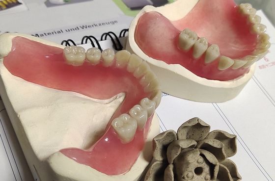 Dentadura parcial de acrílico del arco lleno