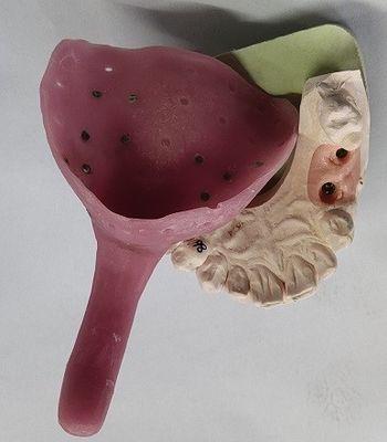 Bandejas de encargo de la impresión de la dentadura