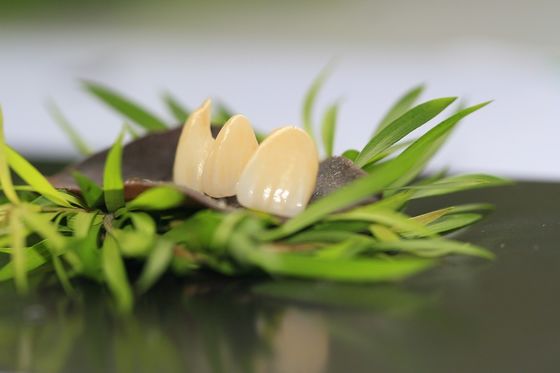 Las estrellas llenas de la corona 5 del óxido de circonio de la odontología prostética diseñan el laboratorio dental