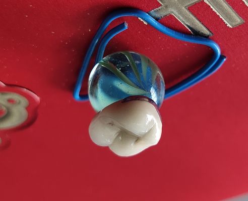 Porcelana dental de la corona de la leva PFM del producto cad del laboratorio fundida al metal